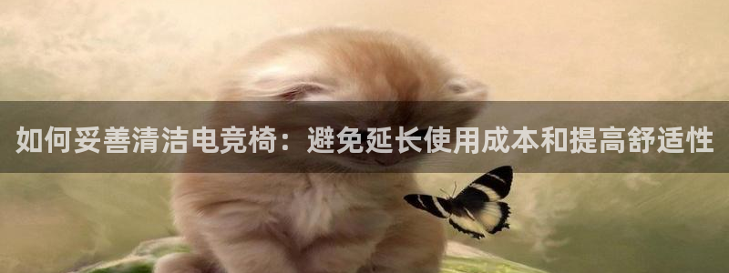 一竞技官网下载：如何妥善清洁电竞椅：避免延长使用成本和提高舒适性