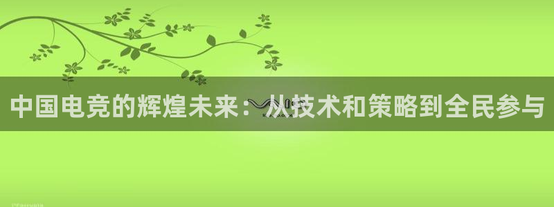 轻轻说打一竞技：中国电竞的辉煌未来：从技术和策略到全民参与