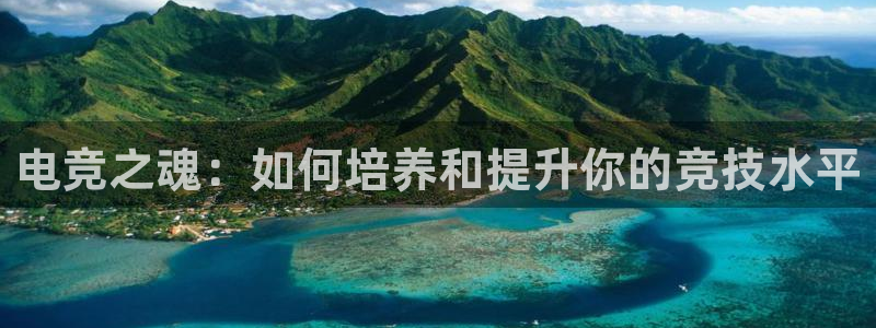 一竞技测速：电竞之魂：如何培养和提升你的竞技水平