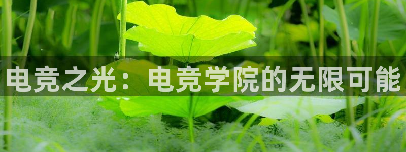 一竞技app下载：电竞之光：电竞学院的无限可能