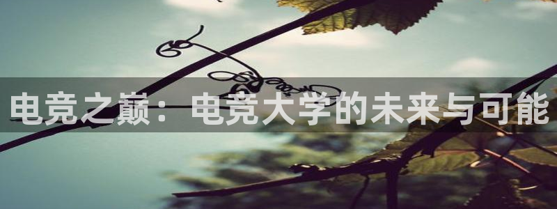 一竞技平台怎么样