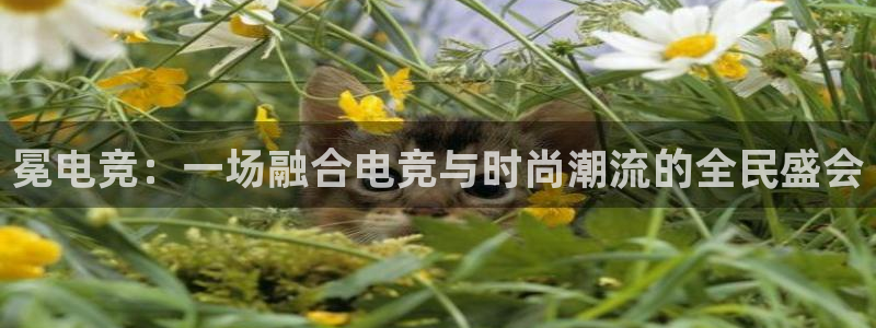 一竞技网页版入口：冕电竞：一场融合电竞与时尚潮流的全民盛会