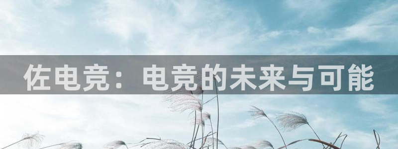 一竞技：佐电竞：电竞的未来与可能