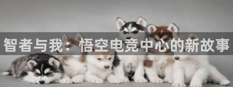 一竞技平台：智者与我：悟空电竞中心的新故事