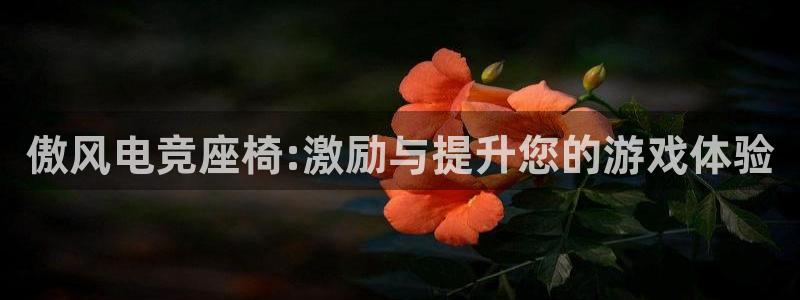 一竞技电竞：傲风电竞座椅:激励与提升您的游戏体验