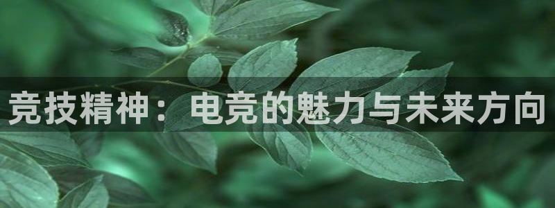 一竞技平台怎么样：竞技精神：电竞的魅力与未来方向