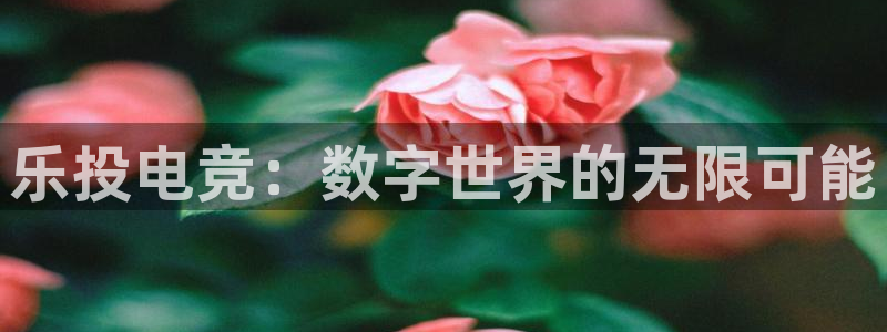 一竞技网页版入口：乐投电竞：数字世界的无限可能