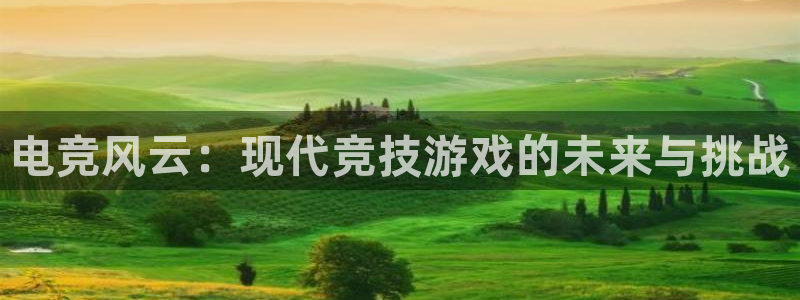 一竞技官网登录入口：电竞风云：现代竞技游戏的未来与挑战