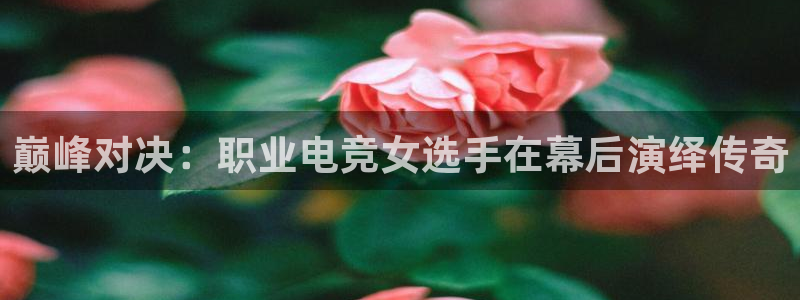 一竞技官网：巅峰对决：职业电竞女选手在幕后演绎传奇