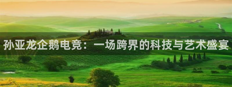 一竞技官方网站入口：孙亚龙企鹅电竞：一场跨界的科技与艺术盛宴