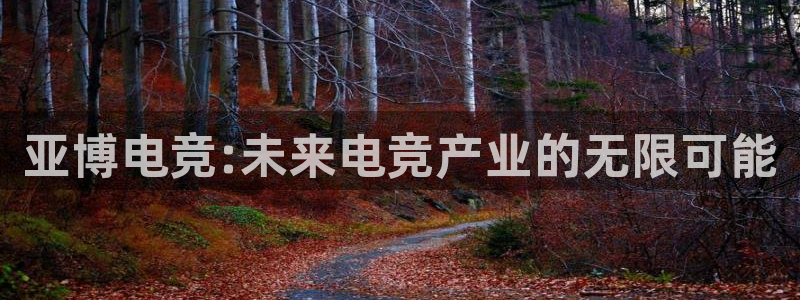 一竞技平台怎么样