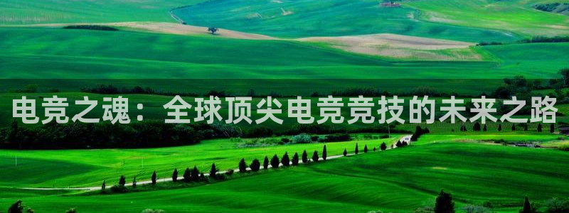 一竞技官网登录入口：电竞之魂：全球顶尖电竞竞技的未来之路