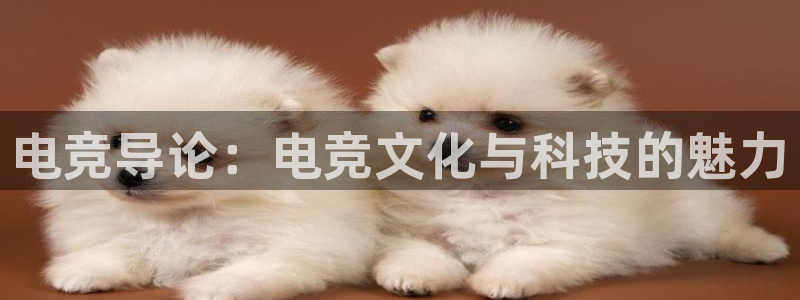 轻轻说打一竞技：电竞导论：电竞文化与科技的魅力