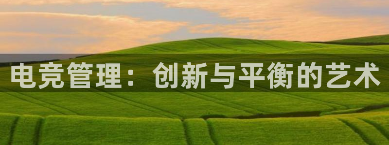 一竞技测速：电竞管理：创新与平衡的艺术